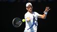 Novak Djokovic vs Adrian Mannarino: 2024 Australian Open - Preview & Prediction