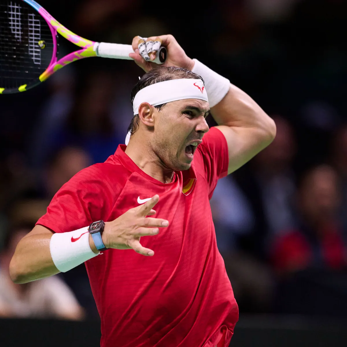 nadal2dcf-673dfed55ae59.jpg@webp