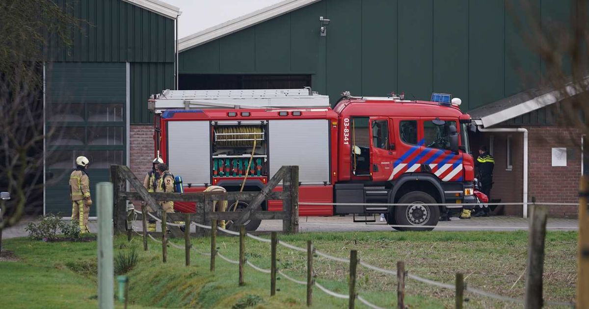 Brand in veestal Zwiggelte snel onder controle
