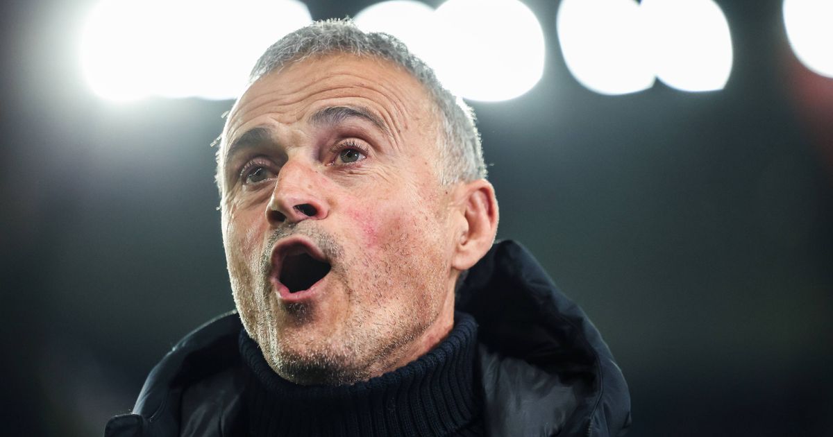 Dro Fernandez star du PSG, Luis Enrique vend du rêve