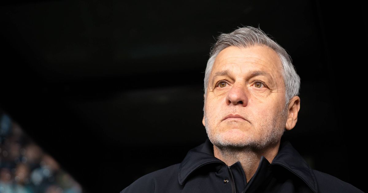 LOSC : « Dans les jours qui viennent », Genesio annonce du lourd