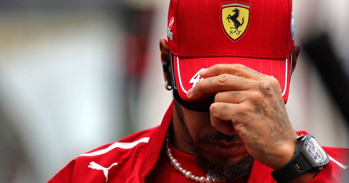 Lewis Hamilton Reveals Roscoe's Final Battle Against Pneumonia