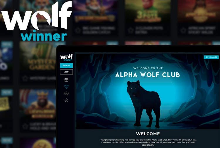 Wolf Winner Casino Dashboard