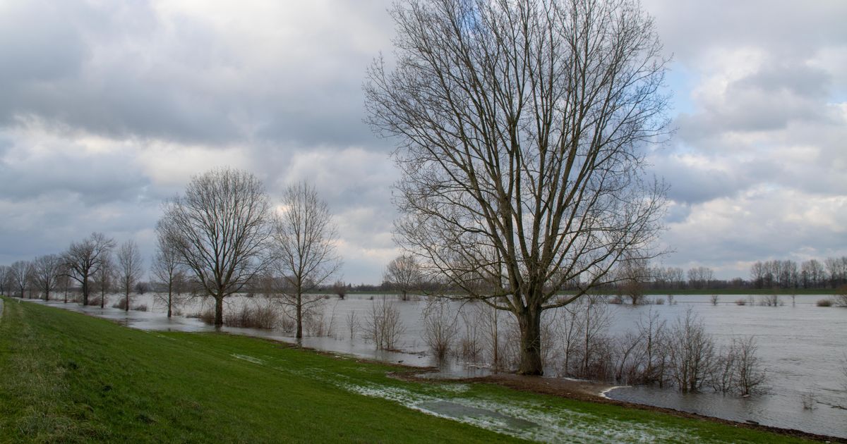 Hoogwater van Doeveren naar Creveceour