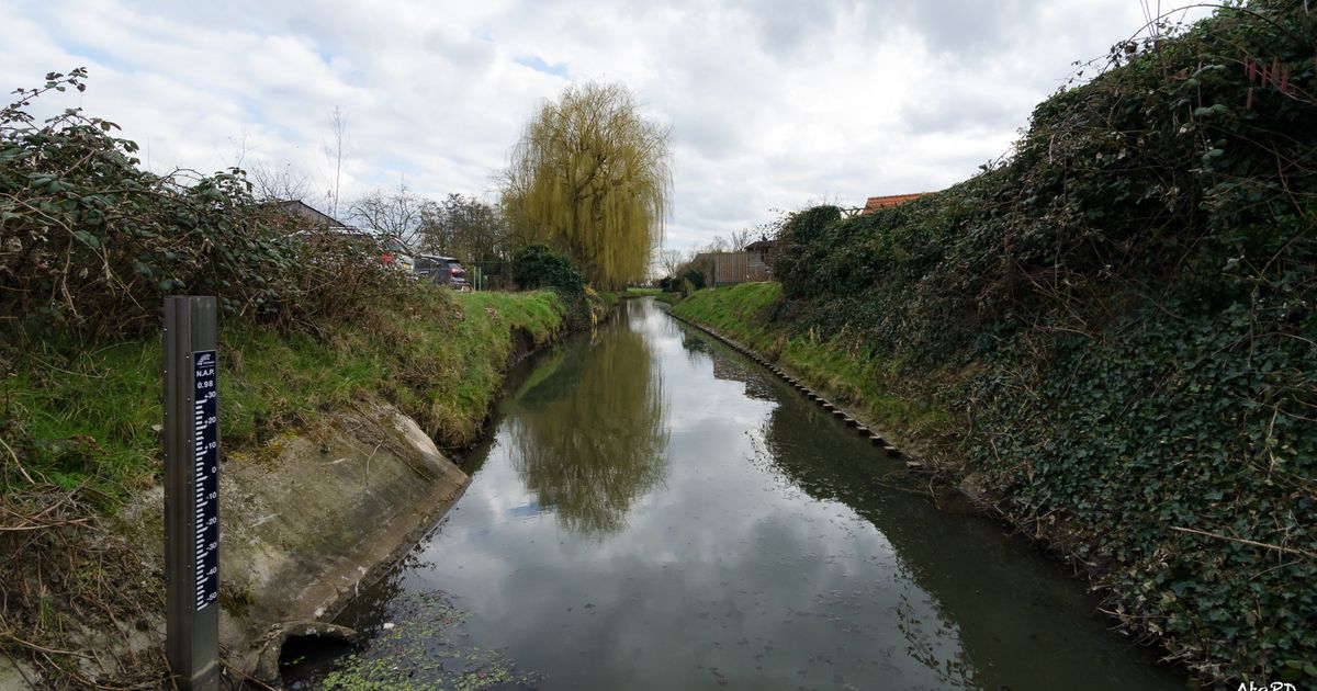 Plantenwandeling in Herpt