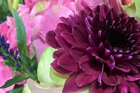 Aangepaste openingstijden bij Sanne Bloem en Decoratie