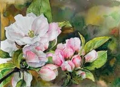 Workshop Broma’s Palet brengt lente naar TOON in Waalwijk