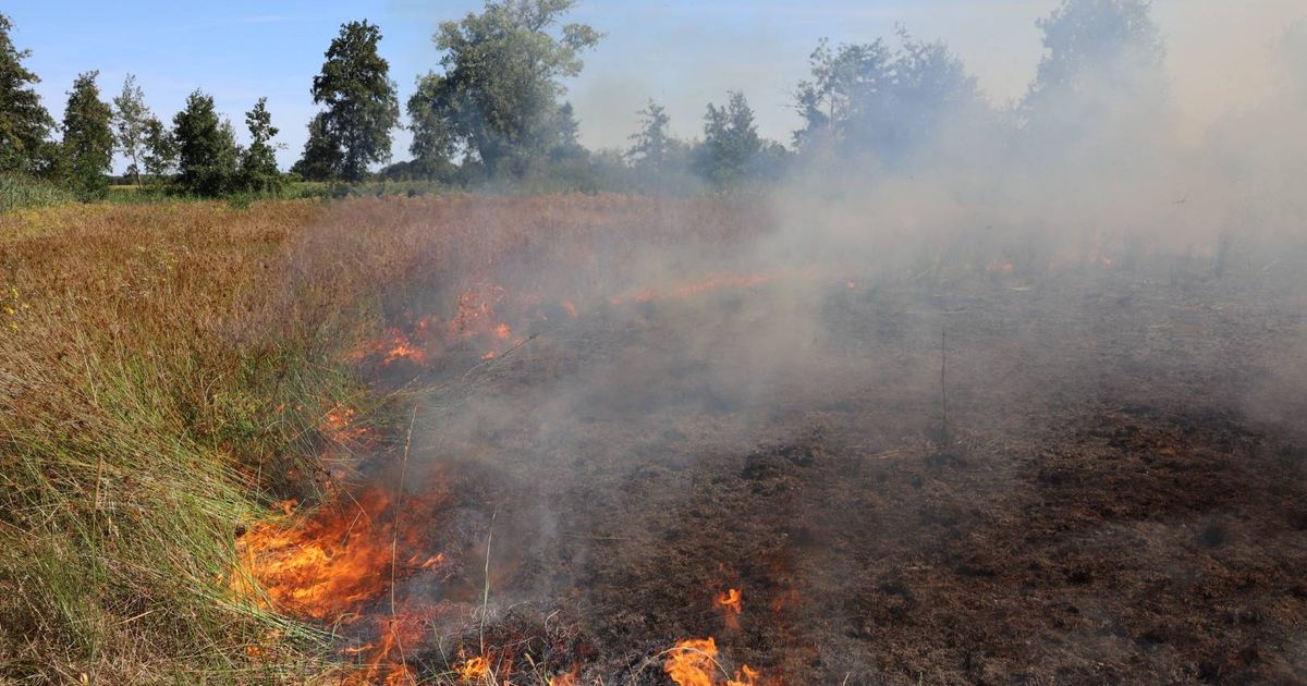 Brandweer rukt met spoed uit voor natuurbrand in Sprang-Capelle
