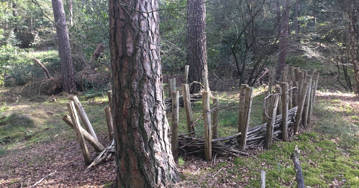 Ontdek de verborgen geschiedenis van Westloon tijdens IVN-wandeling