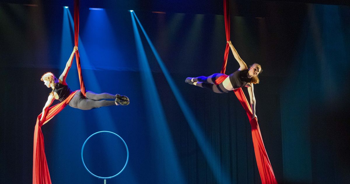 Nieuwe voorstelling Schaduwvlucht in première bij Circus Okidoki