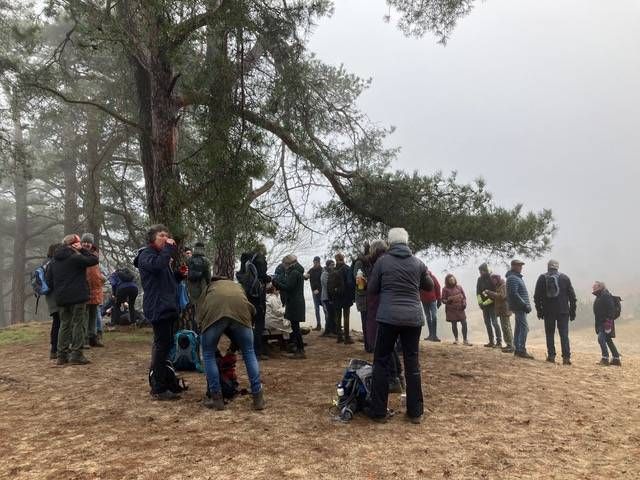 Midwinterwandeling met IVN Westerveld