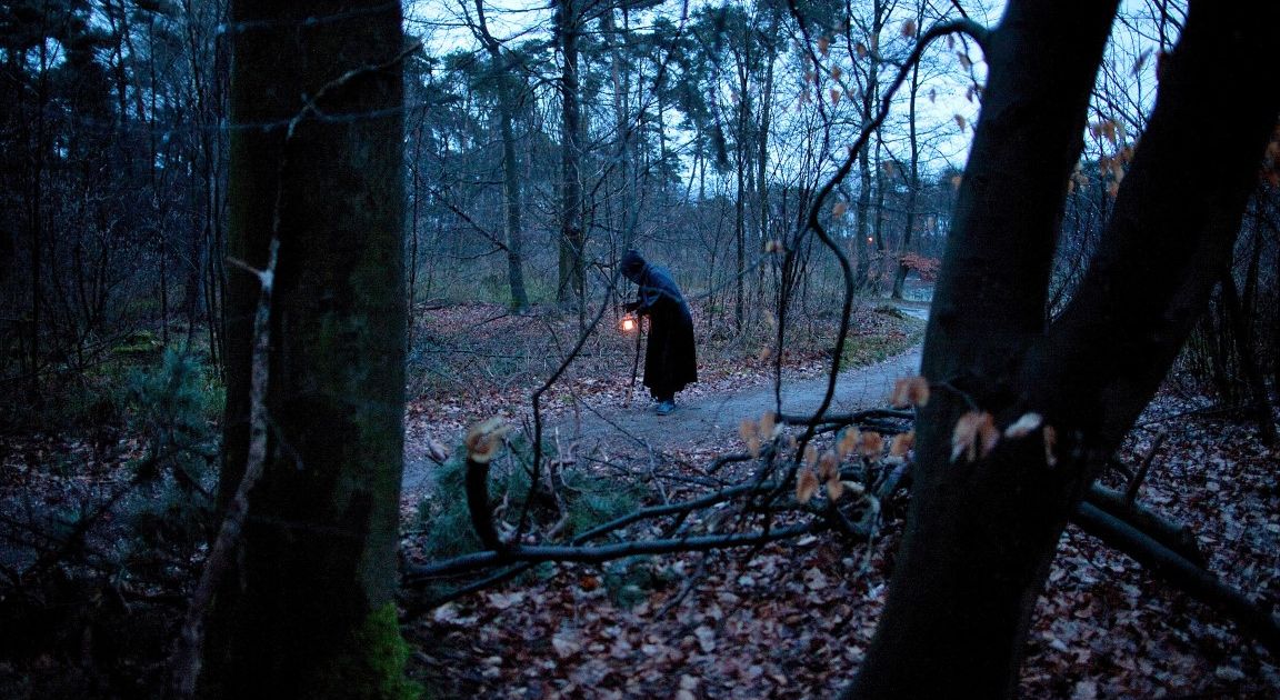 Nacht van de Nacht: avondwandeling in het bos bij Landgoed De Havixhorst