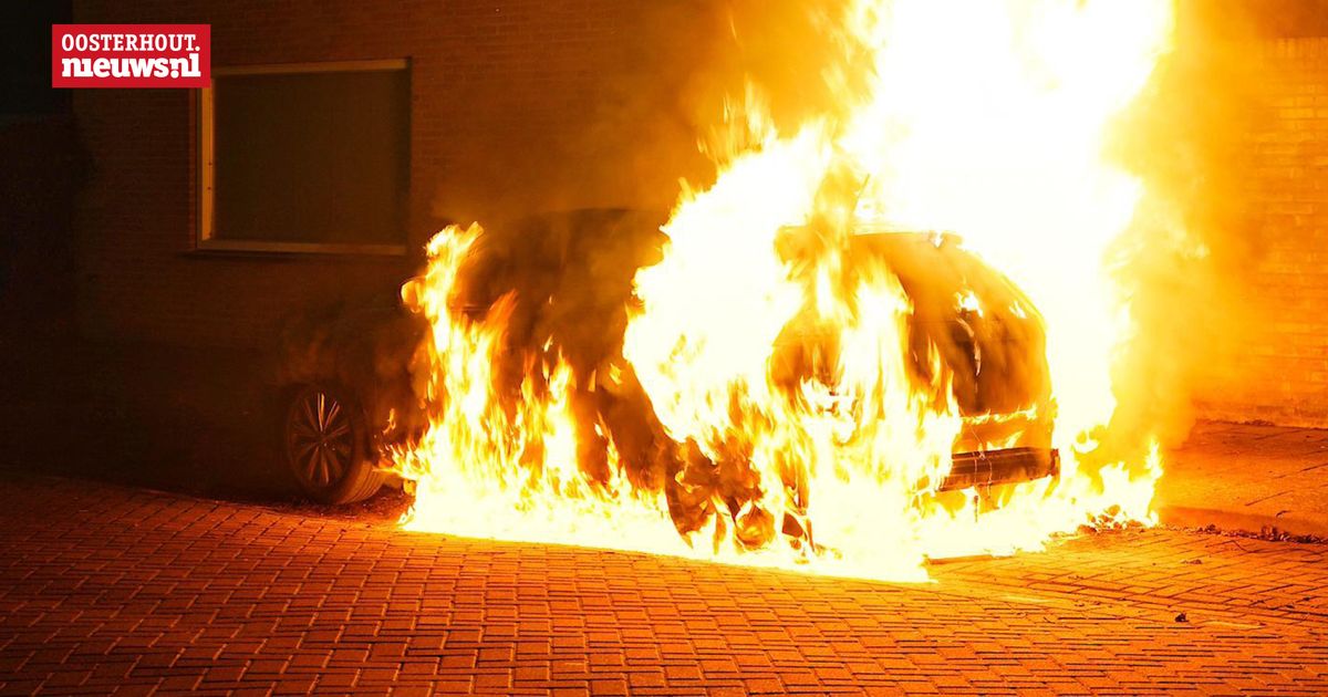 Auto brandt uit aan de Schaepmanlaan in de wijk Slotjes-Midden