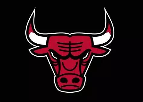 Chicago Bulls Finalize Roster and Cut Houston Mallette - News Directory 3