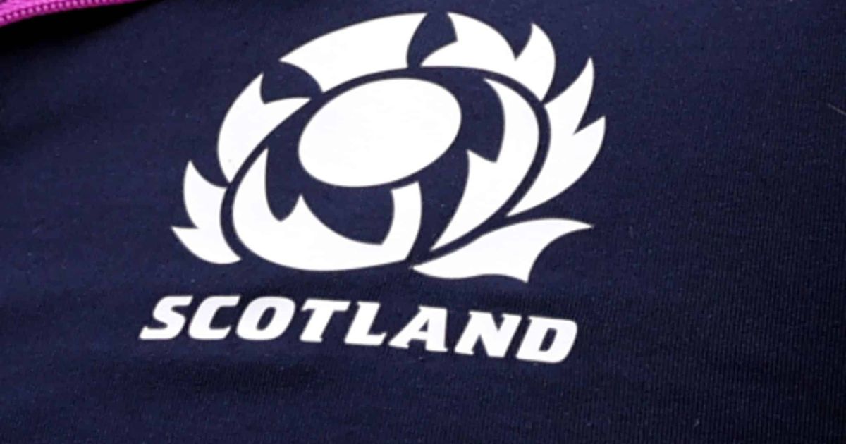 Scotland appoint former international scrum half to coaching staff