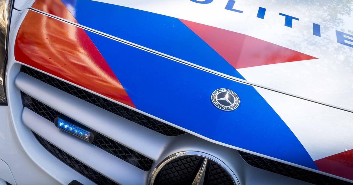 Hulpdiensten zoeken naar barende vrouw in bos bij Rockanje