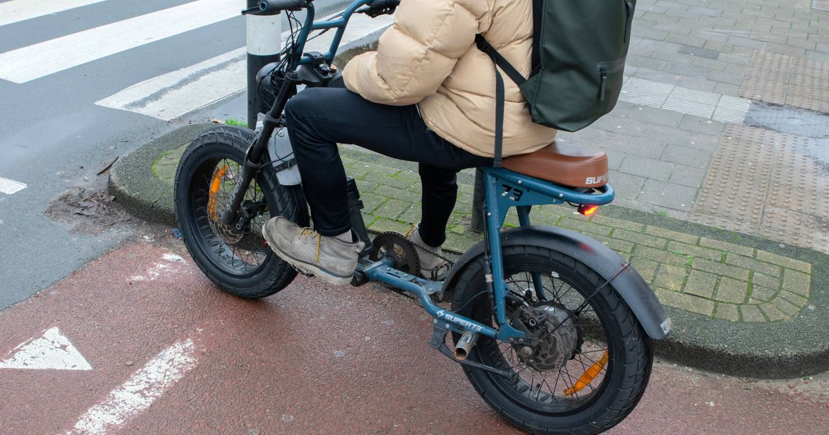 www.dagelijksestandaard.nl