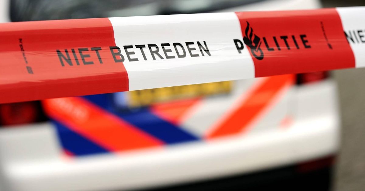 Steekpartij in Leende
