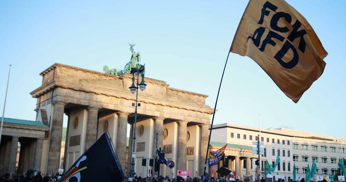 Duizenden betogen in Berlijn tegen AfD