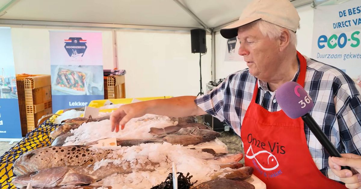 Regen kan gezelligheid van Havenfestival IJmuiden niet verpesten