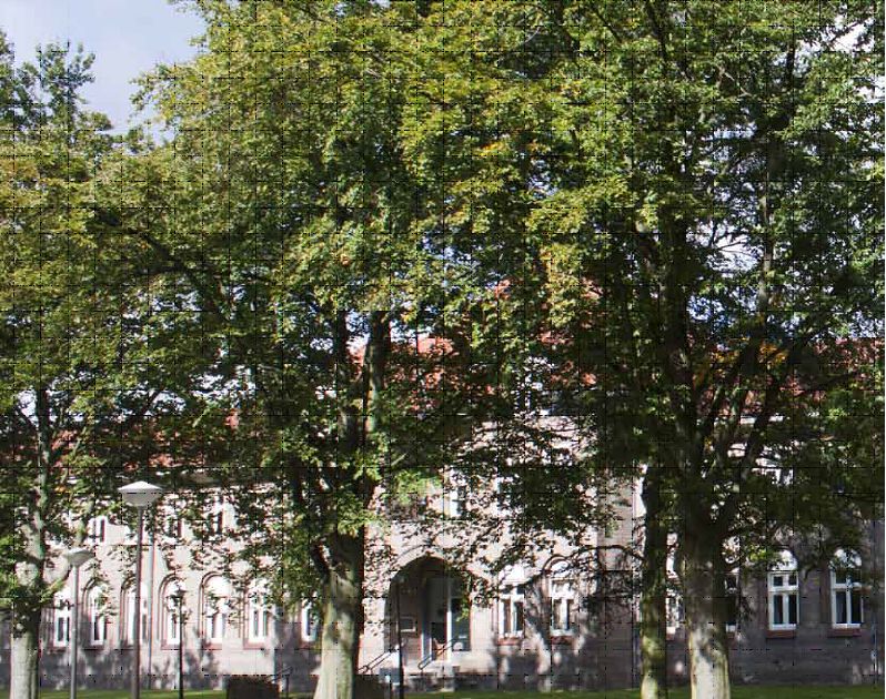 Van Gogh Helvoirt houdt voorjaarswandeling rond Kasteel Zwijnsbergen