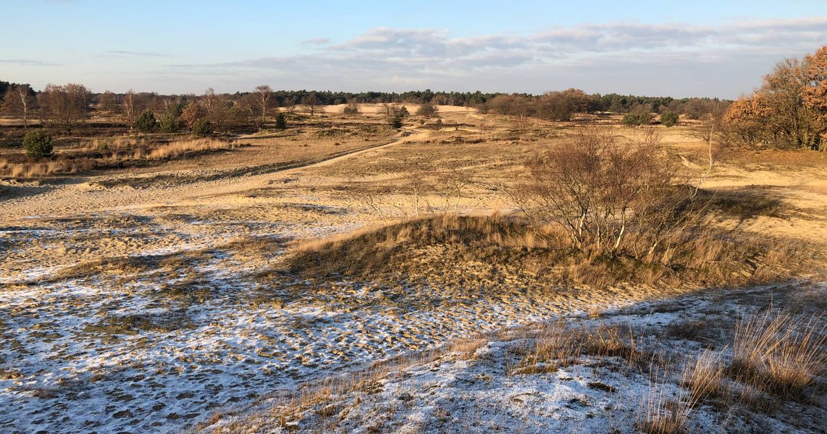 IVN organiseert traditionele nieuwjaarswandeling in de Loonse en Drunense Duinen
