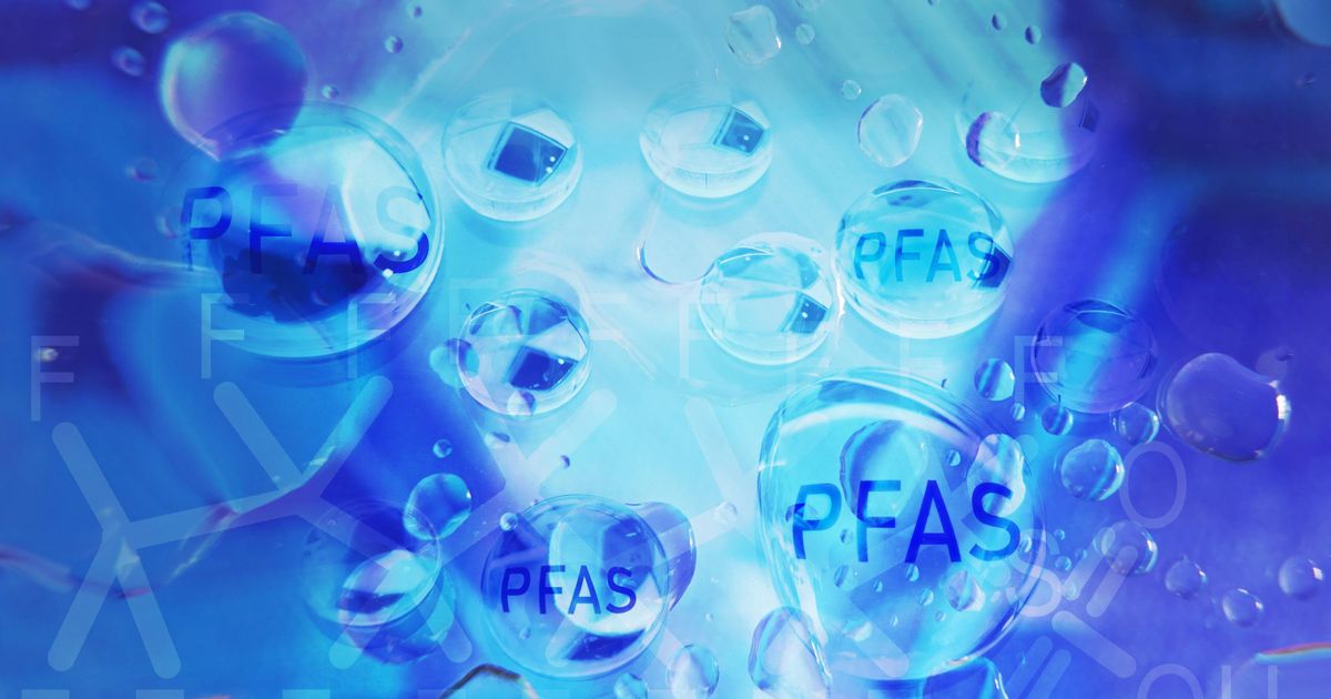 プラスチックがどのように私たちの体に入り、私たちの健康に影響を与えるのか