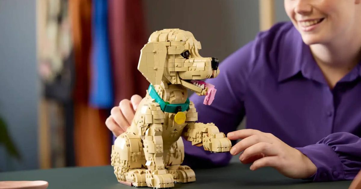 LEGO’s Cutest Puppy Set Now Much Cheaper Than Official Store Price