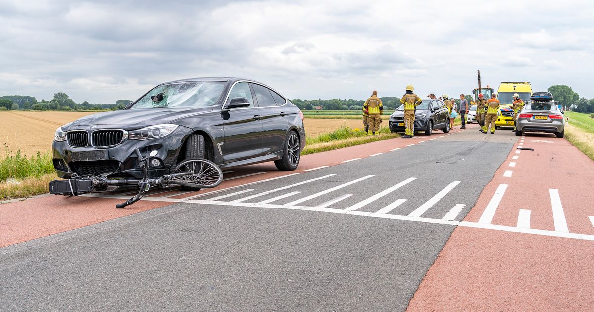Rijk draagt miljoenen bij aan veilig fietspad langs Bergsche Maasdijk