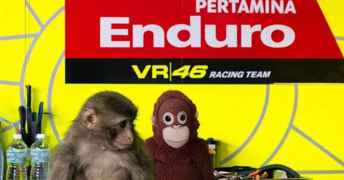 VR46 put to the test: massive €18m budget and Ducati contract in the ...