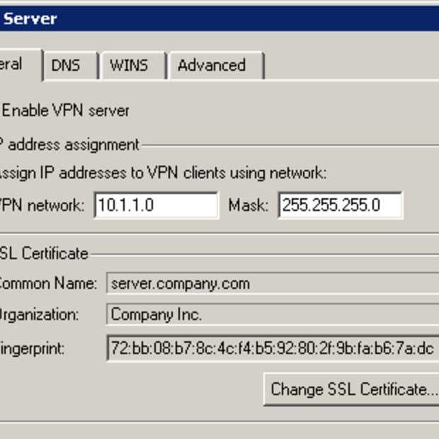 VPN's zijn in opkomst [Infographic]