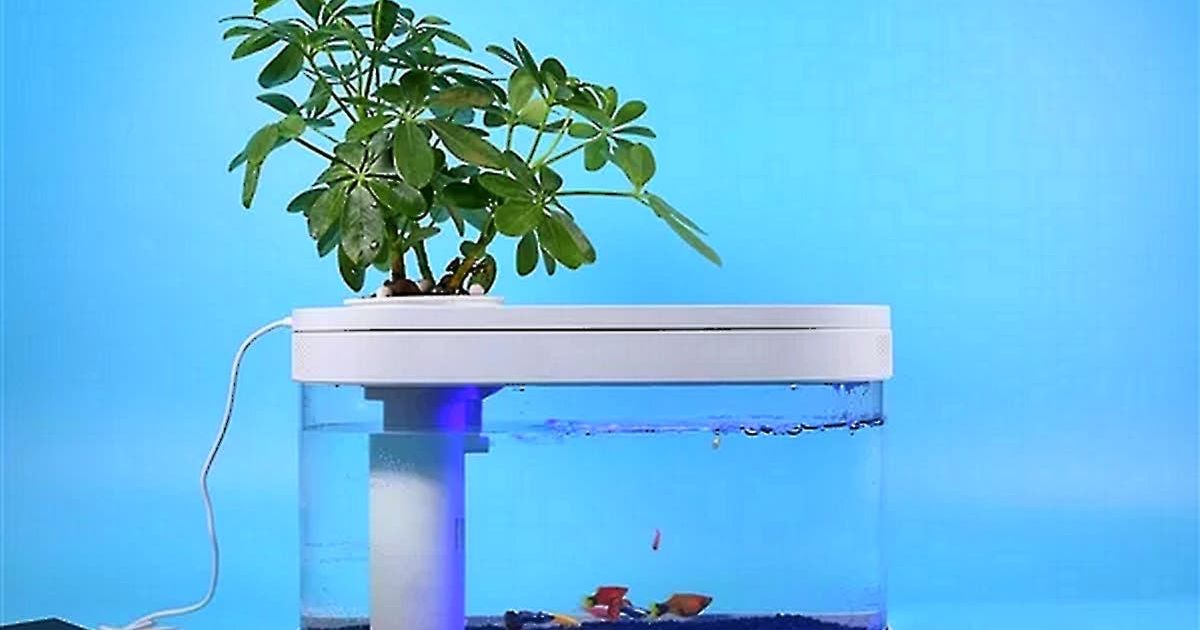 Xiaomi Fish Tank launched, it can be powered by a Power Bank