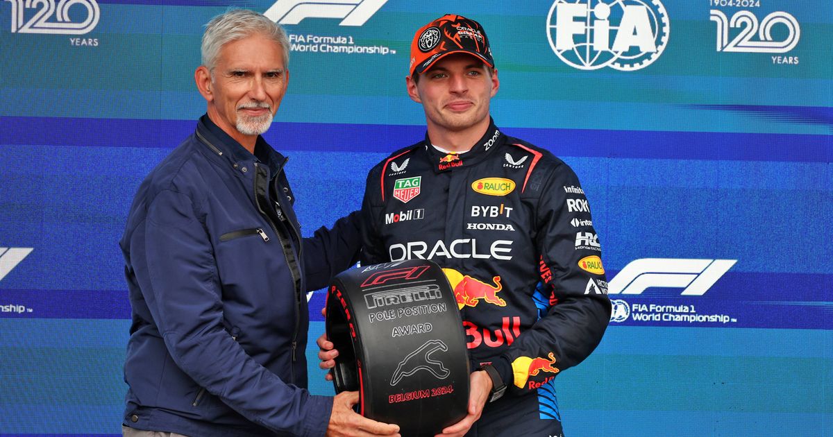 Is dit de reden dat Damon Hill constant Max Verstappen enorm bekritiseert?