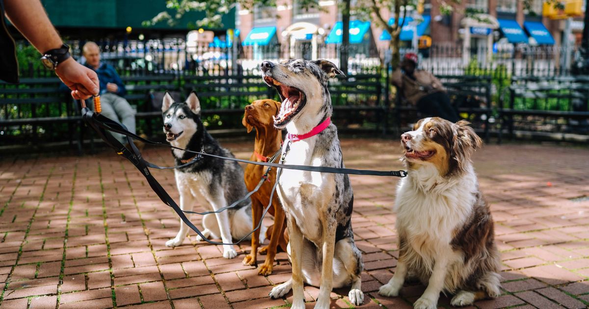 Fotolijst dieren urn met pootafdruk, woor uw geliefde hond