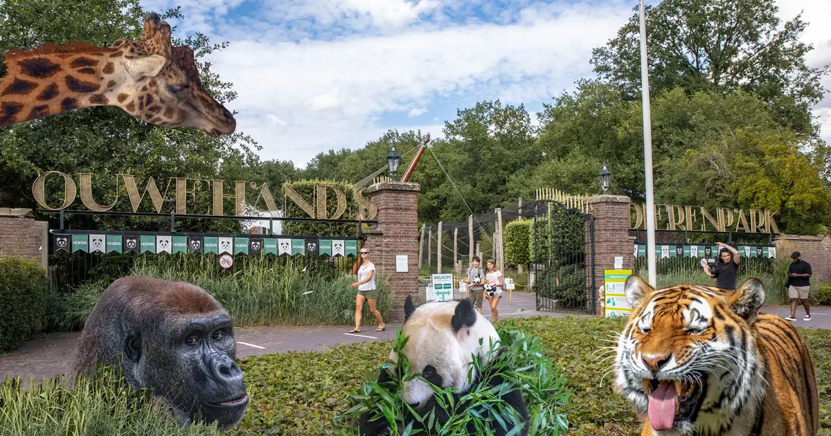 De Charme Van Een Dag Ouwehands Dierenpark Rhenen De Charme Van Een Dag Ouwehands Dierenpark Rhenen