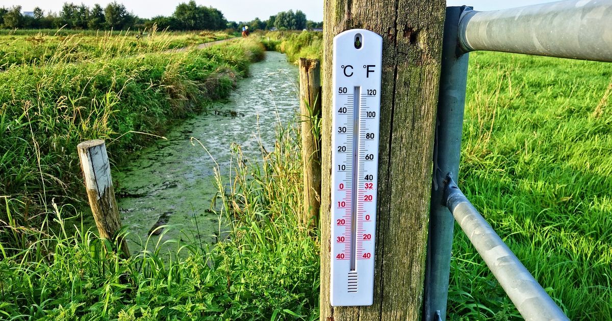 Dit jaar evenaart record van warmste jaar ooit in Nederland