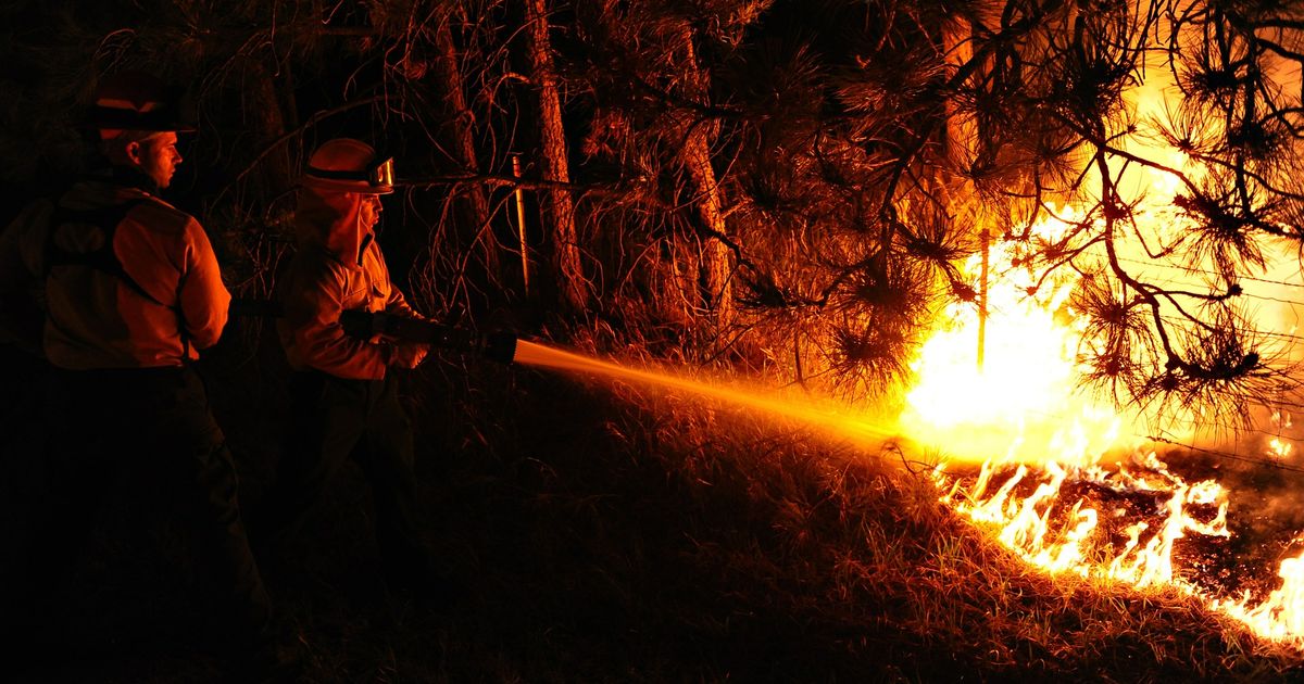 Firefighters Using A Rook Rook en stookverbod in Limburgse natuurgebieden