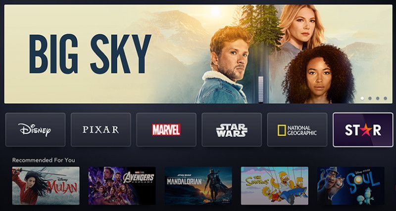 Deze vette series komen naar Disney+ Star