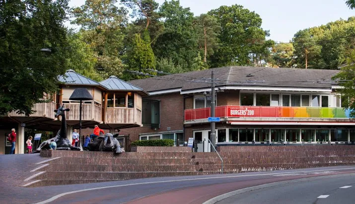 Leeuw doodt leeuwin in Burgers' Zoo Arnhem