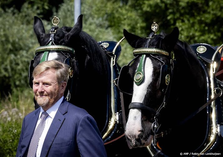 Willem-Alexander: trots op hoe Amalia operatie heeft doorstaan