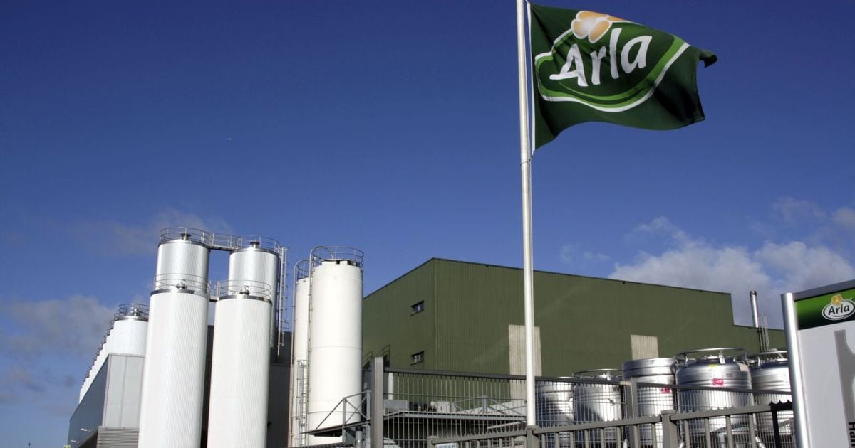 Mark Boot nieuwe Executive Vice President van Arla Foods Europa