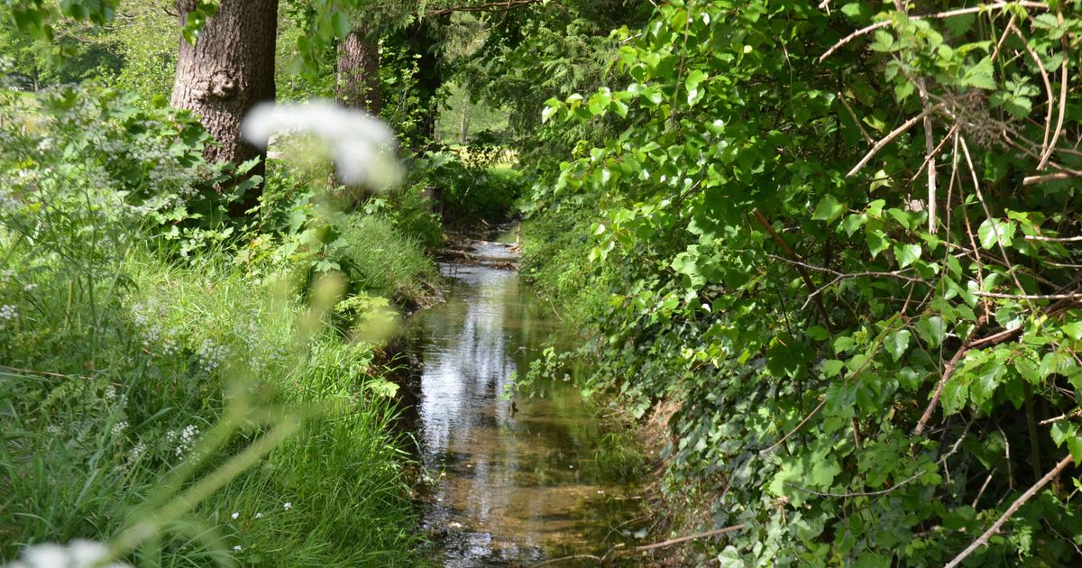 Workshop ‘De Beek Spreekt’