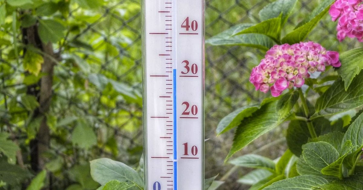 Met 31,9 graden in De Bilt officieel warmste 8 juli ooit gemeten