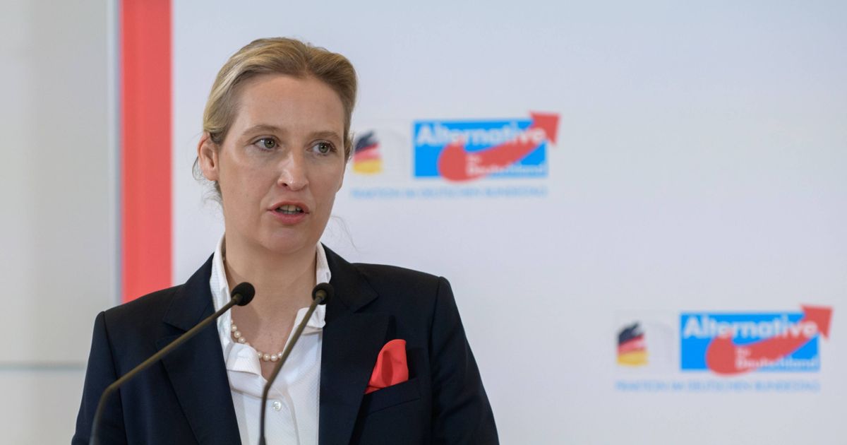Rechtbank fluit heksenjacht terug: Duitse inlichtingendienst mag AfD niet 'extremistisch' noemen