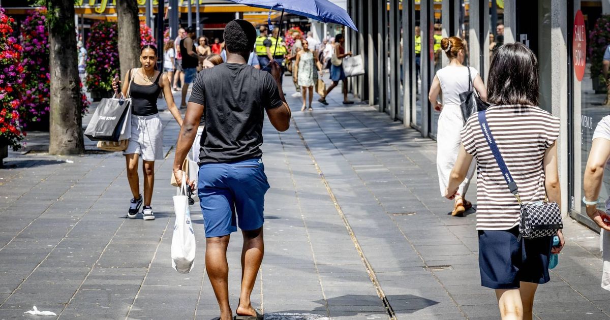 muggenarme-zomer-door-droogte-en-hitte
