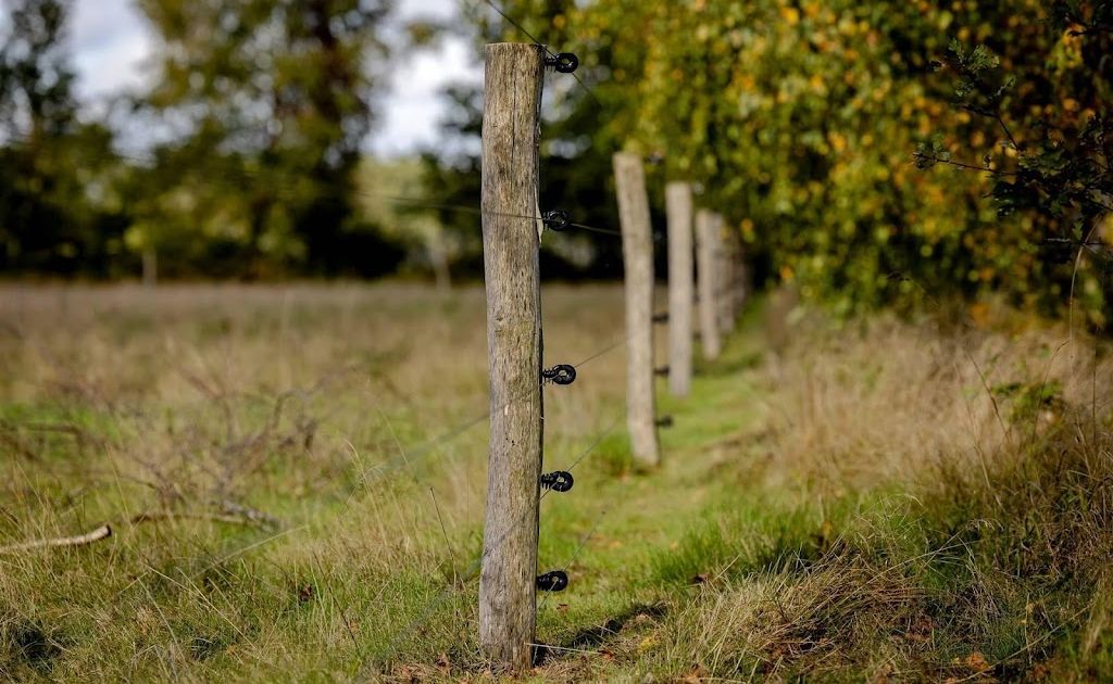 Staatsbosbeheer: mijd bossen Drenthe even na noodweer