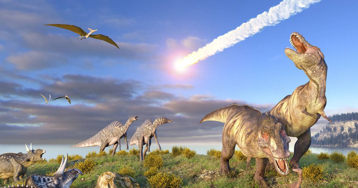 Dit zijn de grootste dinosaurussen (plus: waarom ze ook alweer zijn