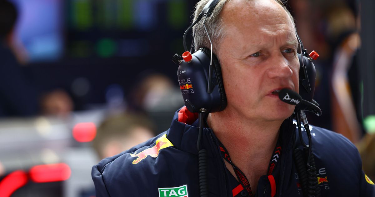 Monaghan vreest groot verlies voor Red Bull: 'Newey wist altijd ...