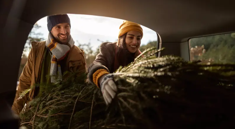 Het is nog wel een dingetje: de kerstboom vervoeren zonder een ...