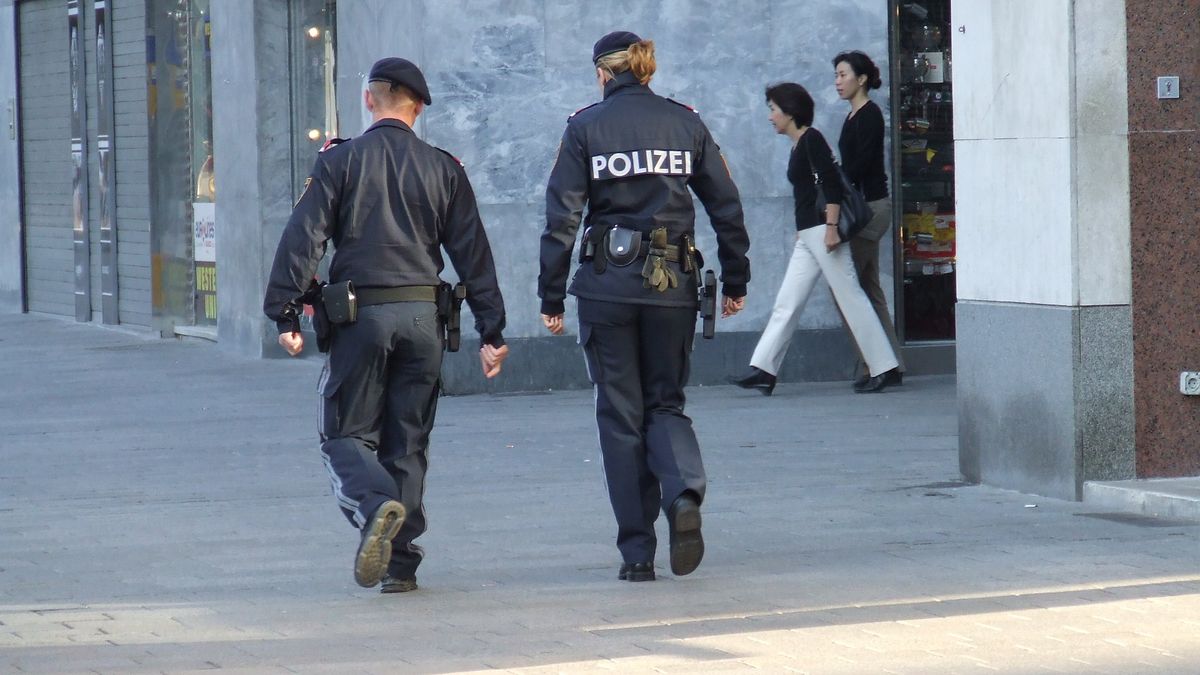 Oostenrijk controleert 229 verdachte gevangenen in verband met aanslag Wenen